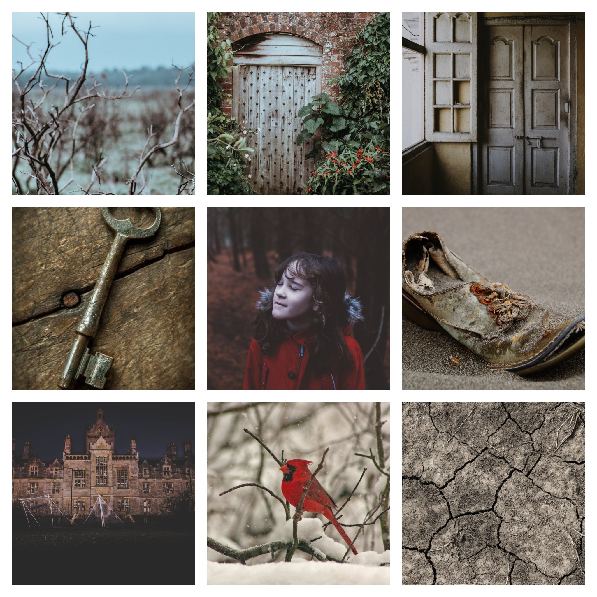 The Edge of In Between Lorelei Savaryn, Children's Author